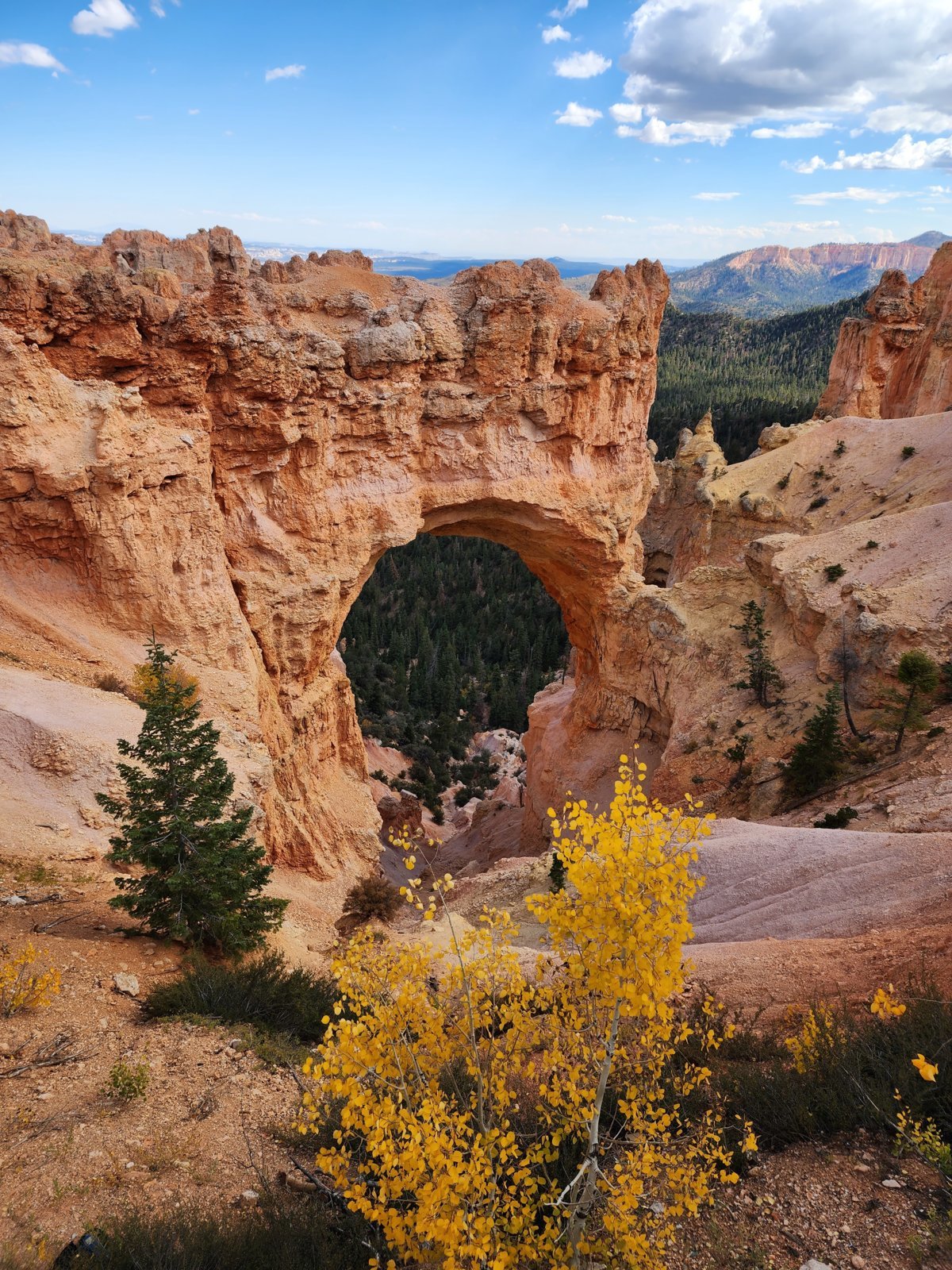 Bryce3.jpg