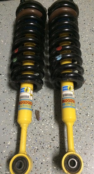 BSStruts.jpg