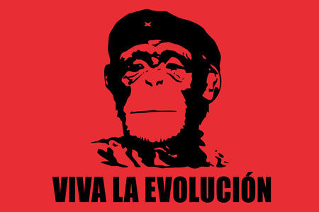 BT-vivalaevolucion-gallery-2756.jpg