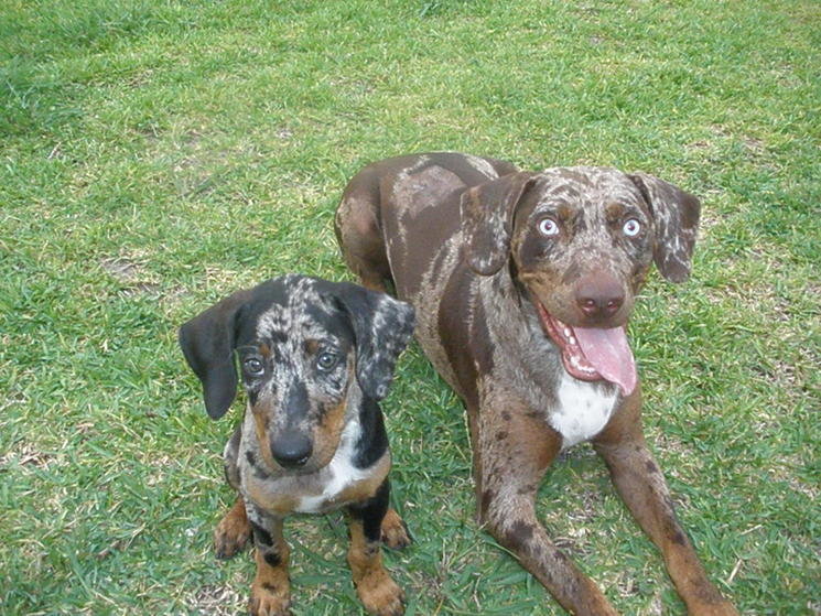 Buck and Sissy.jpg