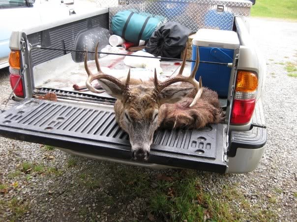 buck5_15109040bf87c2b31692b14464eda61a45b76335.jpg