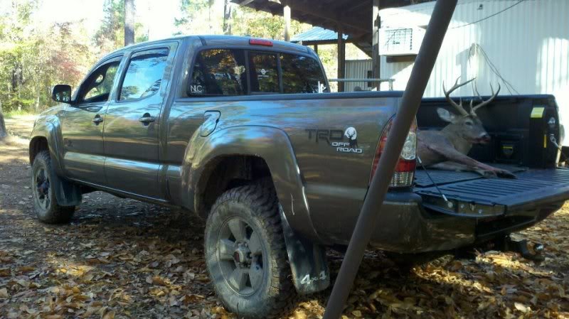 bucktruck_11b45c2e9461c11e42b31cf5105f124569465e88.jpg