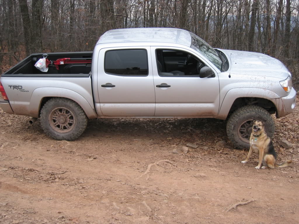 BuckyandtheTaco_853af4545e858f250e4849612a7005d07a15878f.jpg