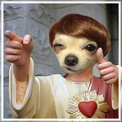 buddy.jpg