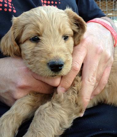 buddy_2_zpsb309503a_34d906759419bbdc87b710f67fe806a07def92c3.jpg