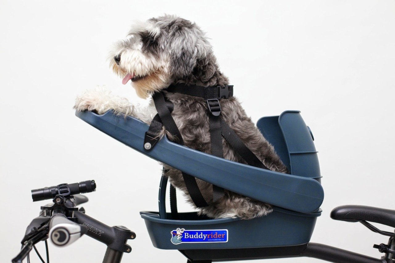 buddyrider_pet-seat_01.jpg