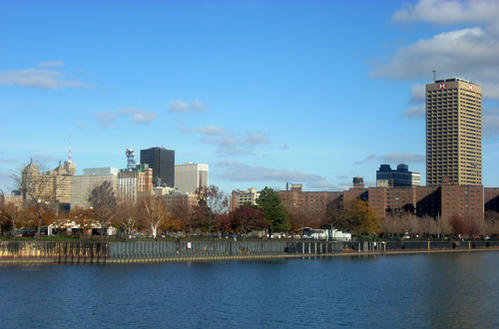 Buffalo on river 2.jpg