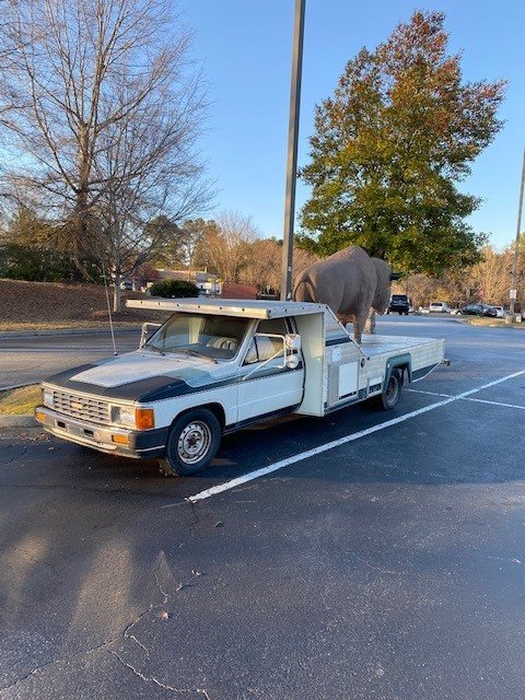 BuffTruck.jpg