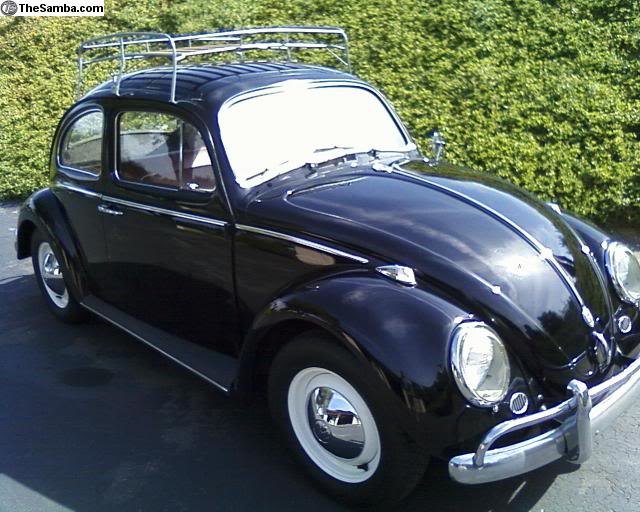 bug_c371e1321e71656084b71f09ec21b8f0f0d3148b.jpg