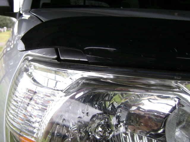 bugguard_c77cdcc919b5ddafdda6e80d211922ea5152a506.jpg