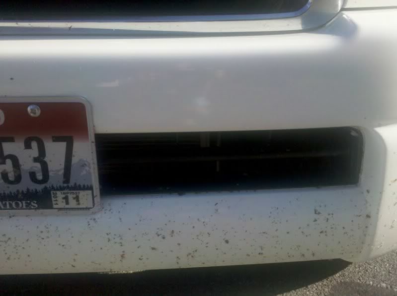 bugs2_b4d57c5f2f51063c29e9e482c2adce34e1a4b024.jpg