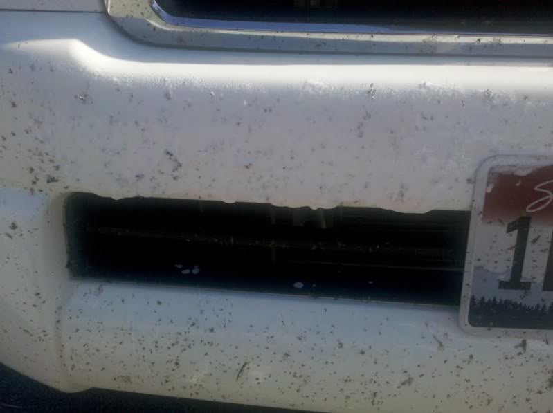 bugs_838936dda3d3f8a73bec11d187ccd30e459c8b1a.jpg