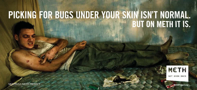 Bugs_zpshpveoxve_2cb52d0b7092805b368c1758f1d2c1b909d4a992.jpg
