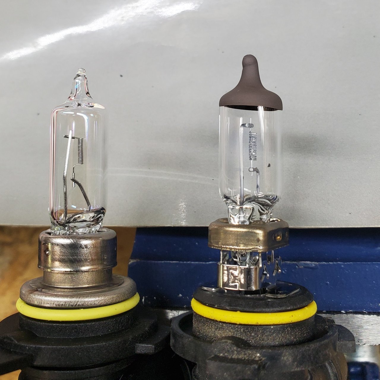 Bulb Comparison.jpg