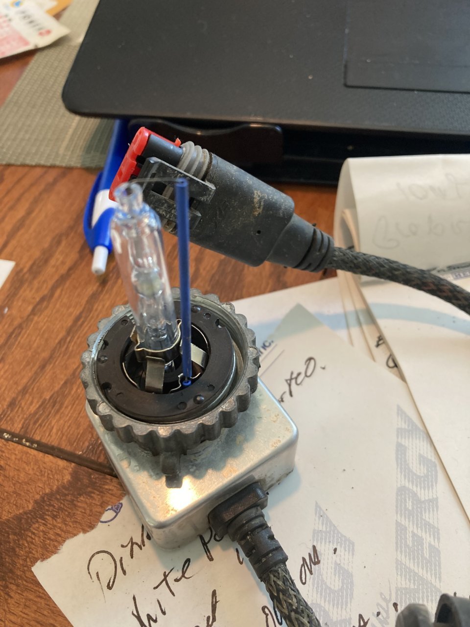 BULB.jpg