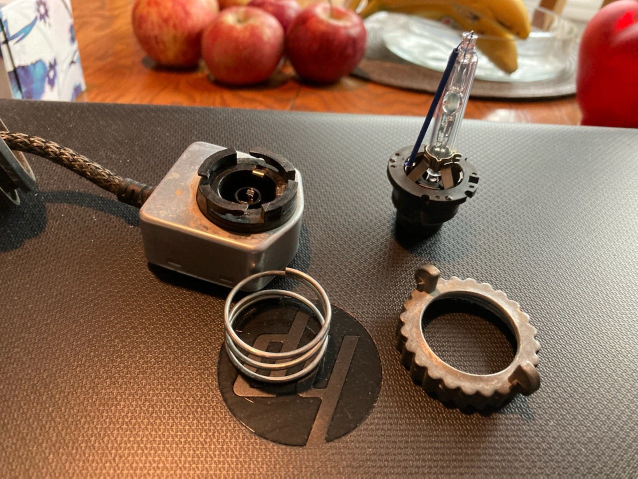 Bulb Parts.jpg