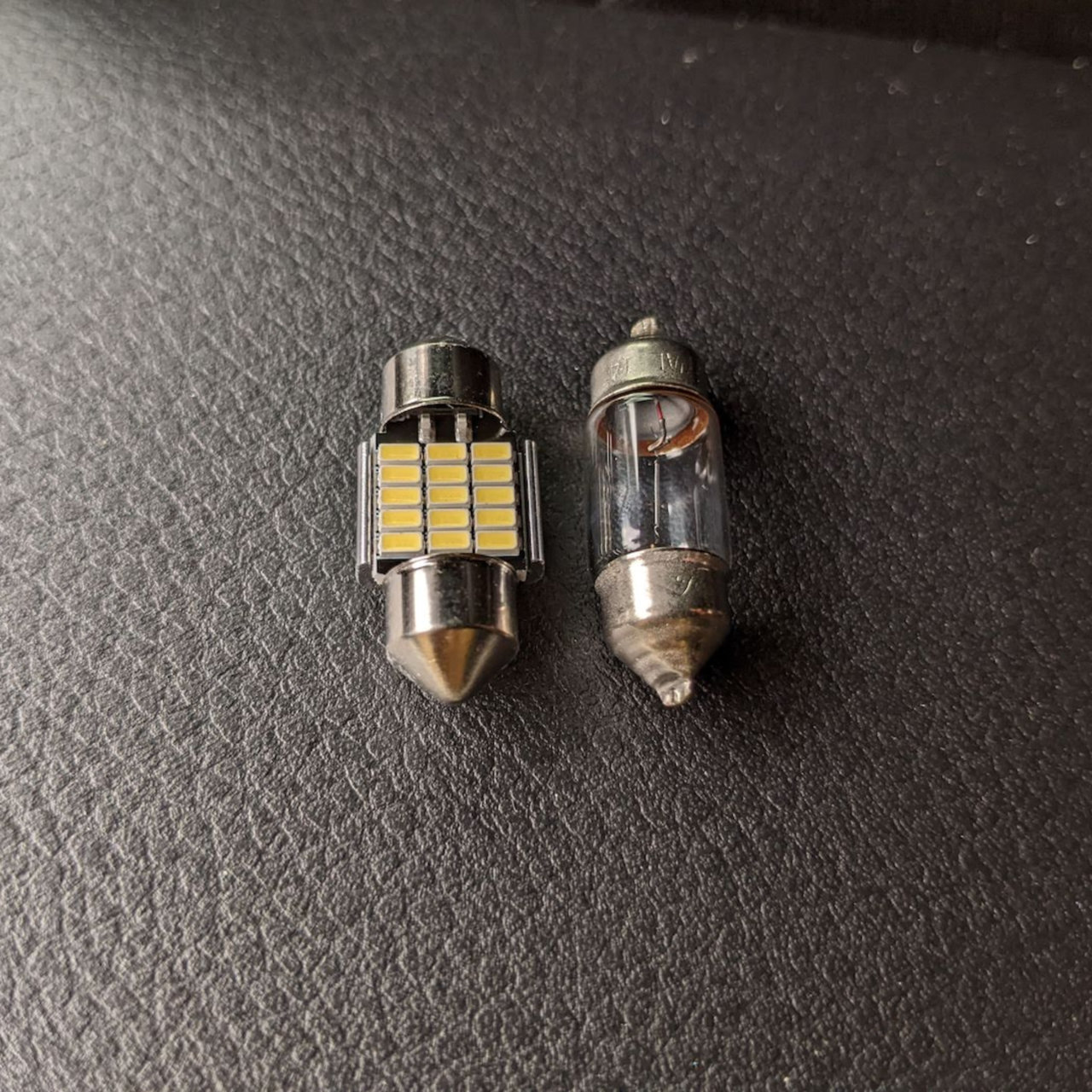 bulbs.jpg
