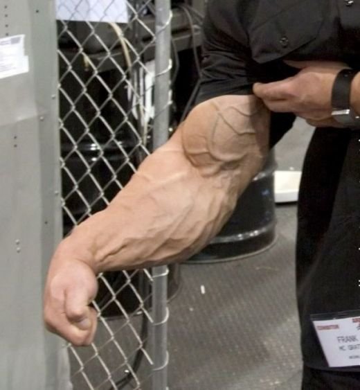 bulking-ripped-bodybuilder-arms.jpg