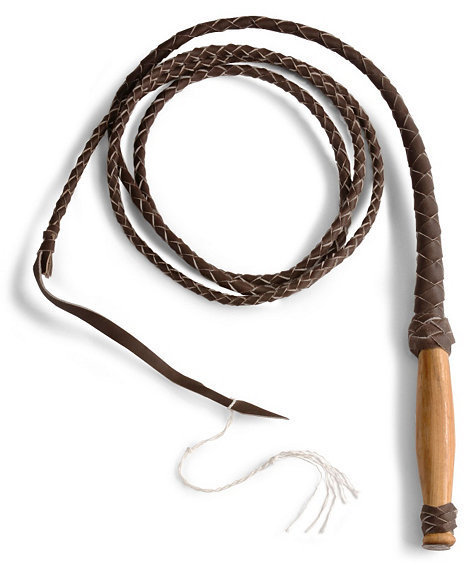 bull%20whip_cc45a535524063a9fe5b893546b04ade9494ec1d.jpg