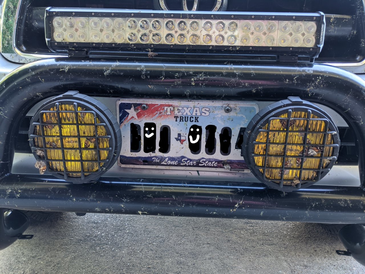 Bull bar with fog lights bugs.jpg