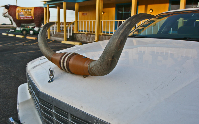 bull-horns-on-a-caddie.jpg