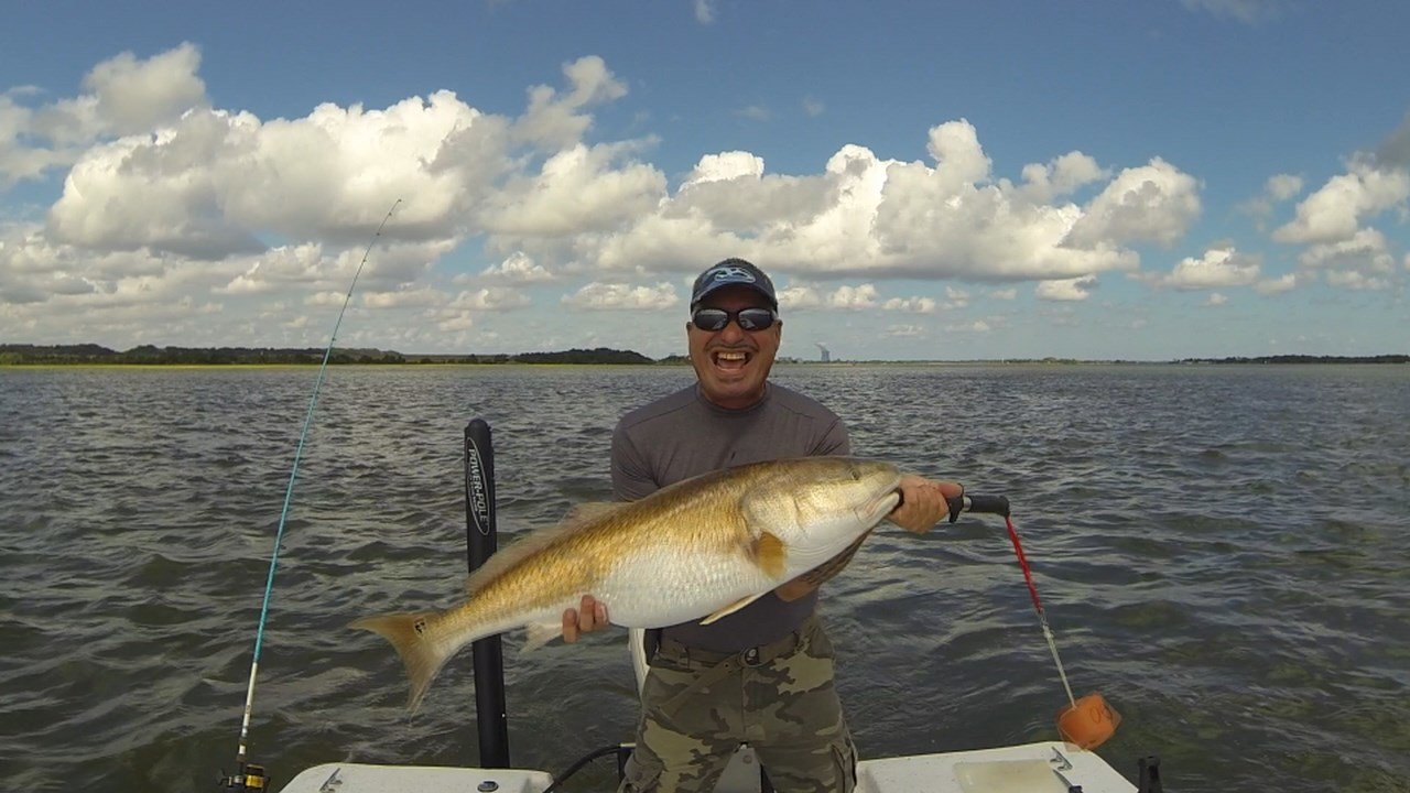 Bull Red.jpg