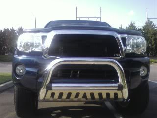 bull3_87abe89ee2e58c067f18e63013584b2b091d0db0.jpg
