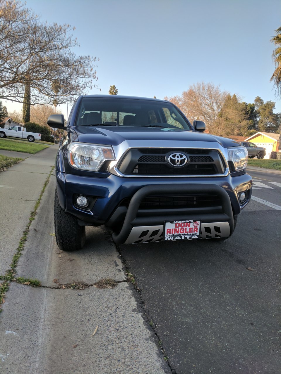 bullbar.jpg