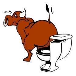 BullShit_83a616a11f772595e98a265d1fa31a012fae98f9.jpg