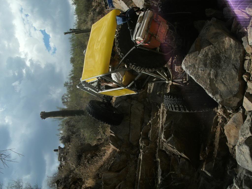 bumblebee160_4deed467fb012259d66a37a2ed53e30b8806aa52.jpg