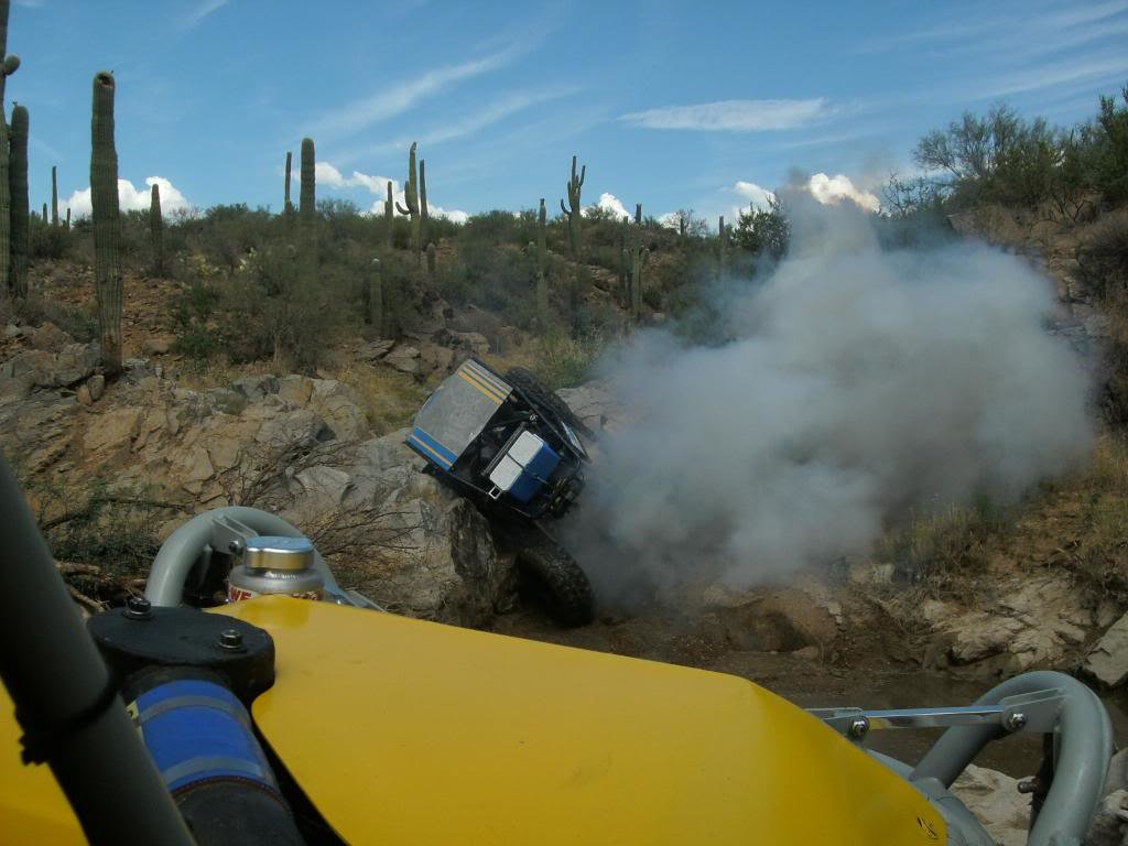 bumblebee171_b8561b84c5db70292a51d435b99f6602c312d130.jpg