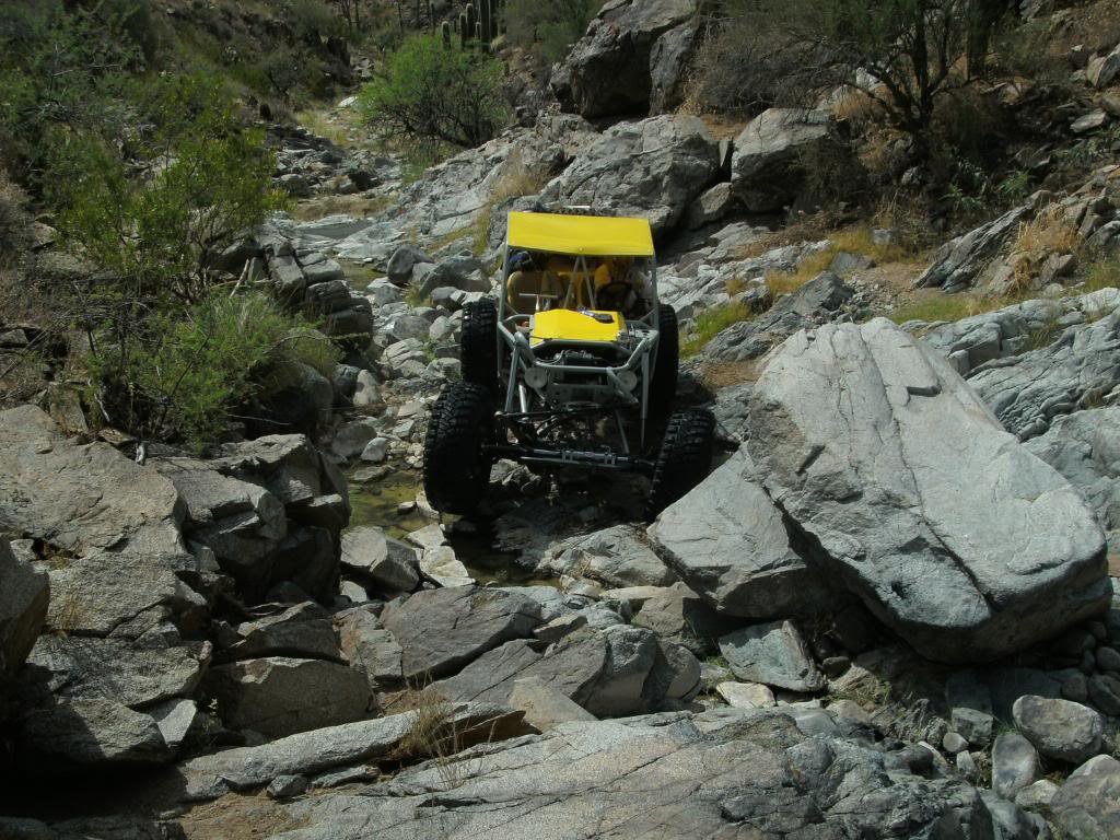 bumblebee178_bea9fa009ce5fc8d334793be1e03e6455a7373d1.jpg