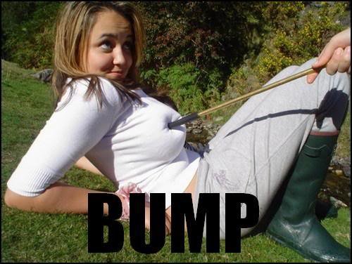 BUMP_2bc350e79fe28ca4a44f0245c828954eed53c147.jpg