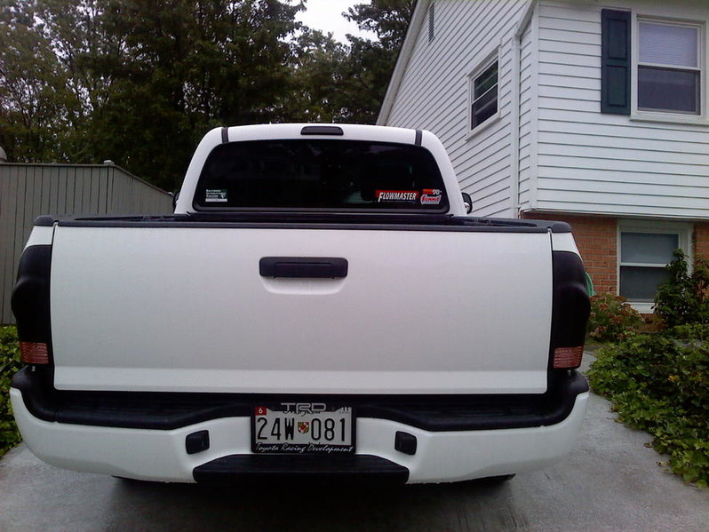 Bumper 2.jpg