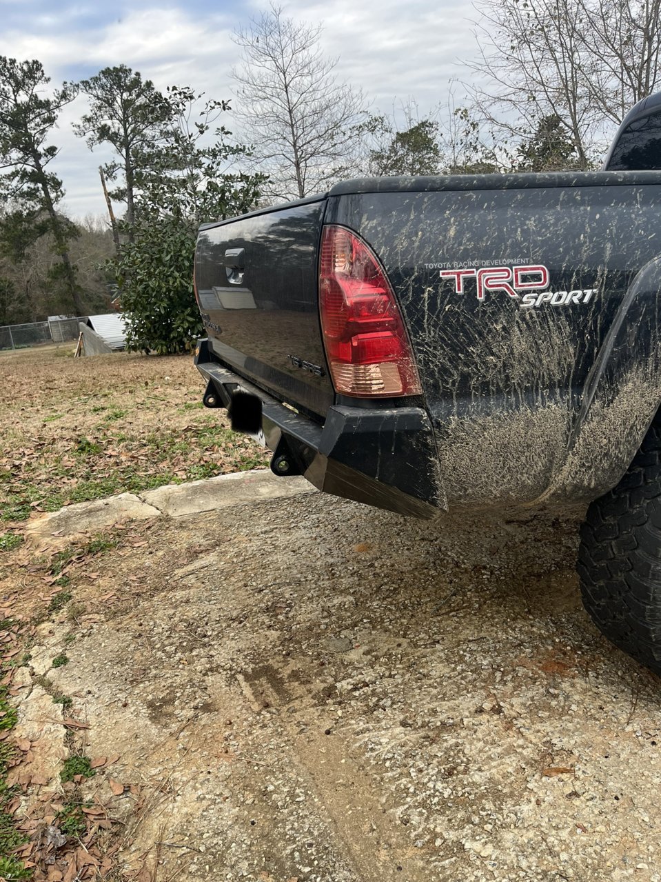 Bumper 3.jpg