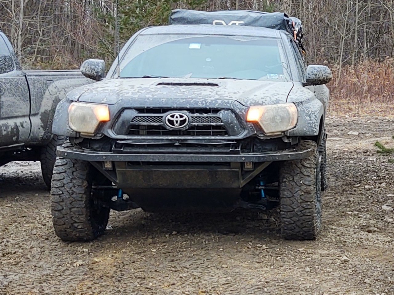 bumper.jpg