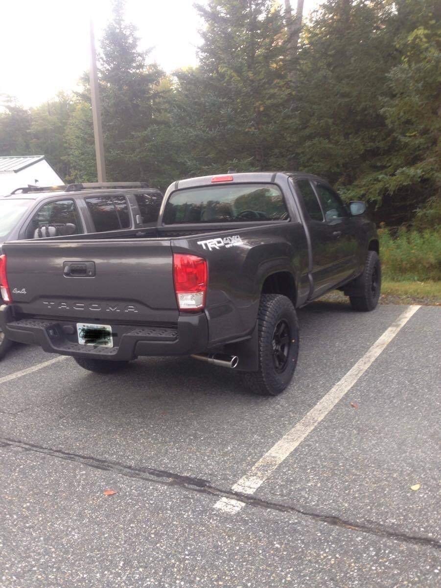 bumper..jpg