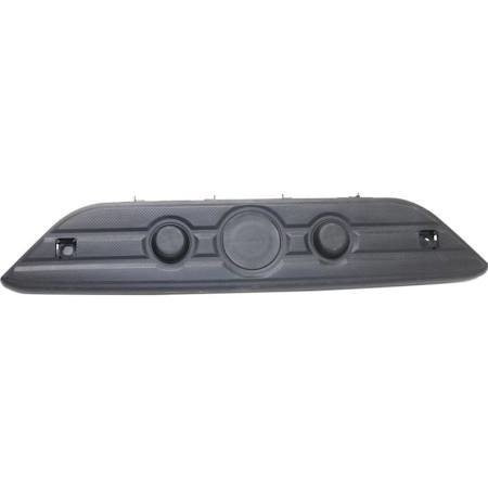 bumper plate.jpg