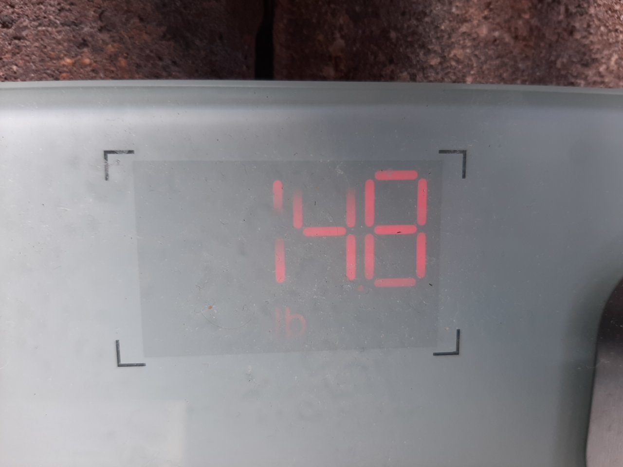 bumper weight2.jpg