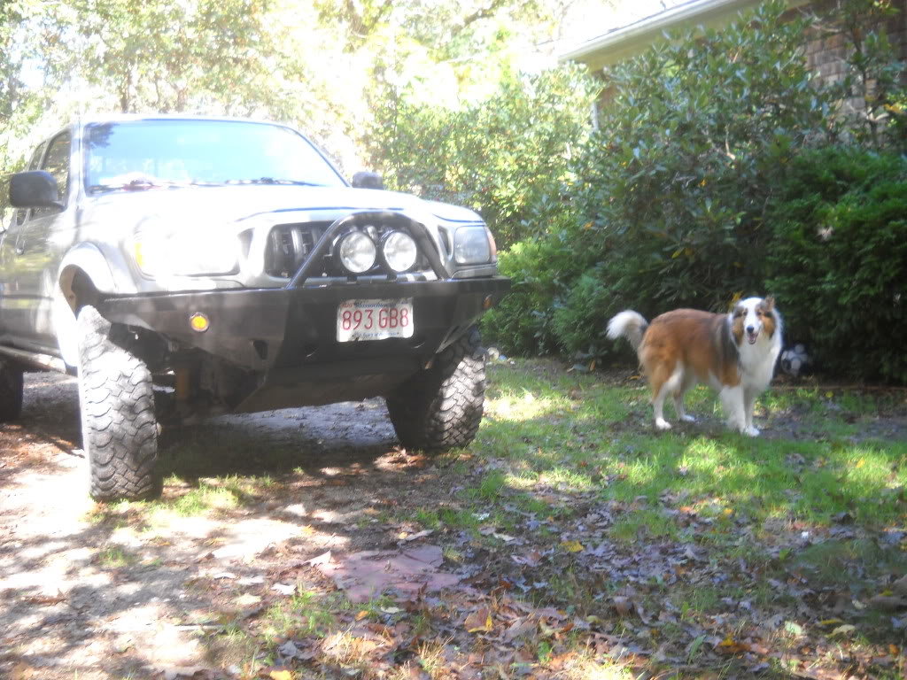 bumper003-2_df665b9c8077ac99b17dbd6f836d9aae0185e77c.jpg