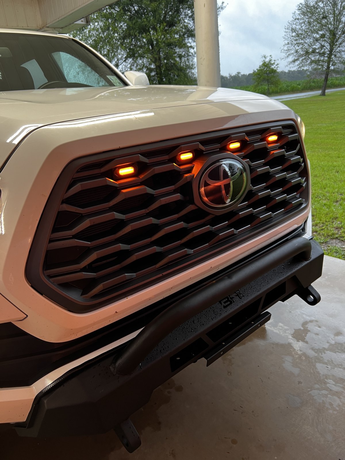 Bumper_Raptors.jpg