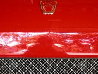 BumperPlugs6-08-09_8b83eab6d930839aaa135a037e34b7c77f8c89d1.jpg