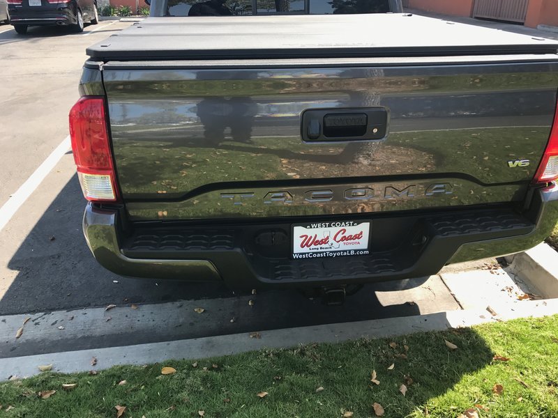 bumpers 3.jpg