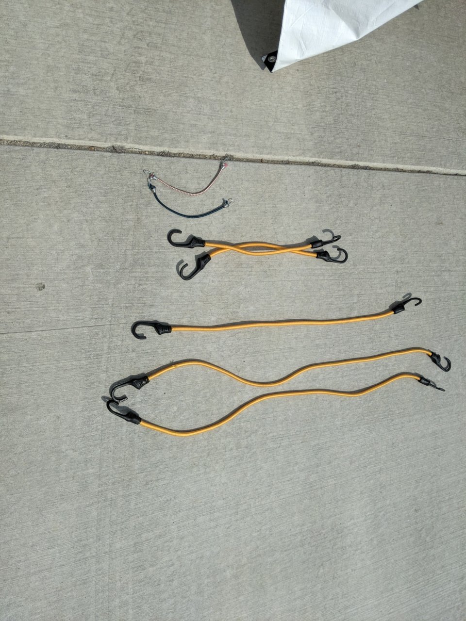 bungees.jpg