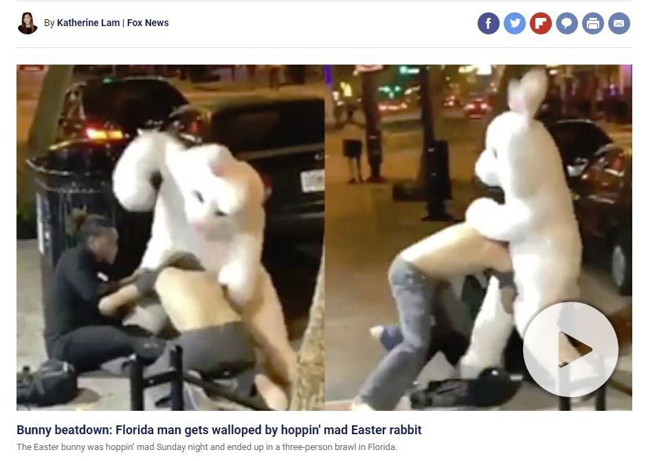 BUNNY.jpg