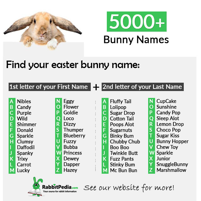 bunny-names.jpg