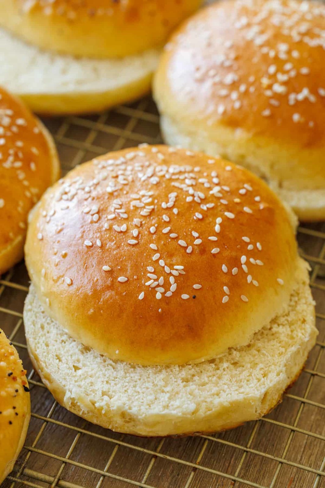 Burger-Buns-3.jpg