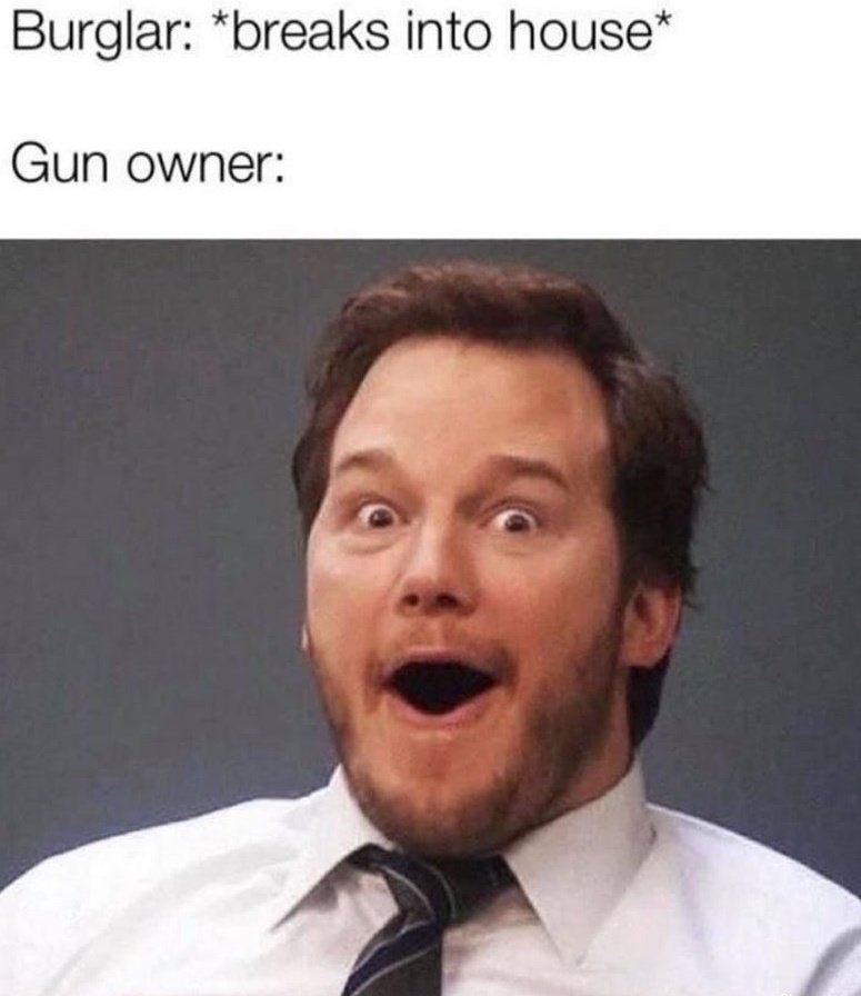 burgler-gun-owner.jpg