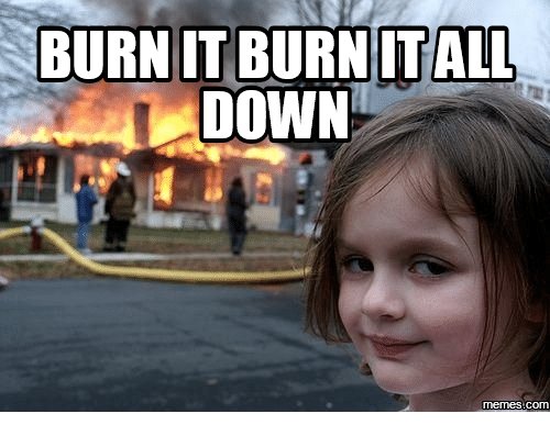burn-it-burn-all-down-memes-com-16257715.jpg
