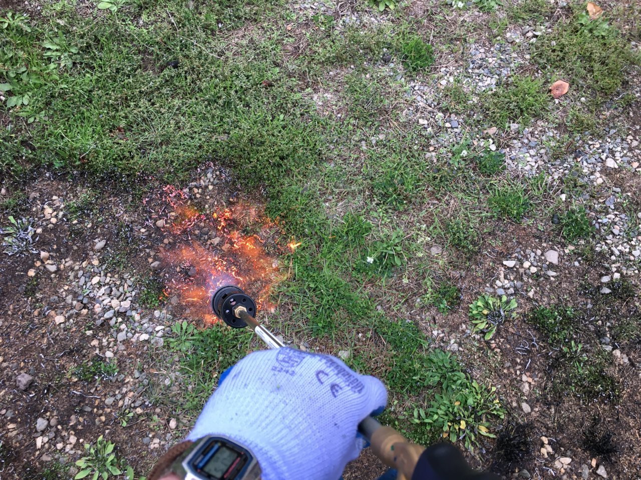 burning weeds.jpg
